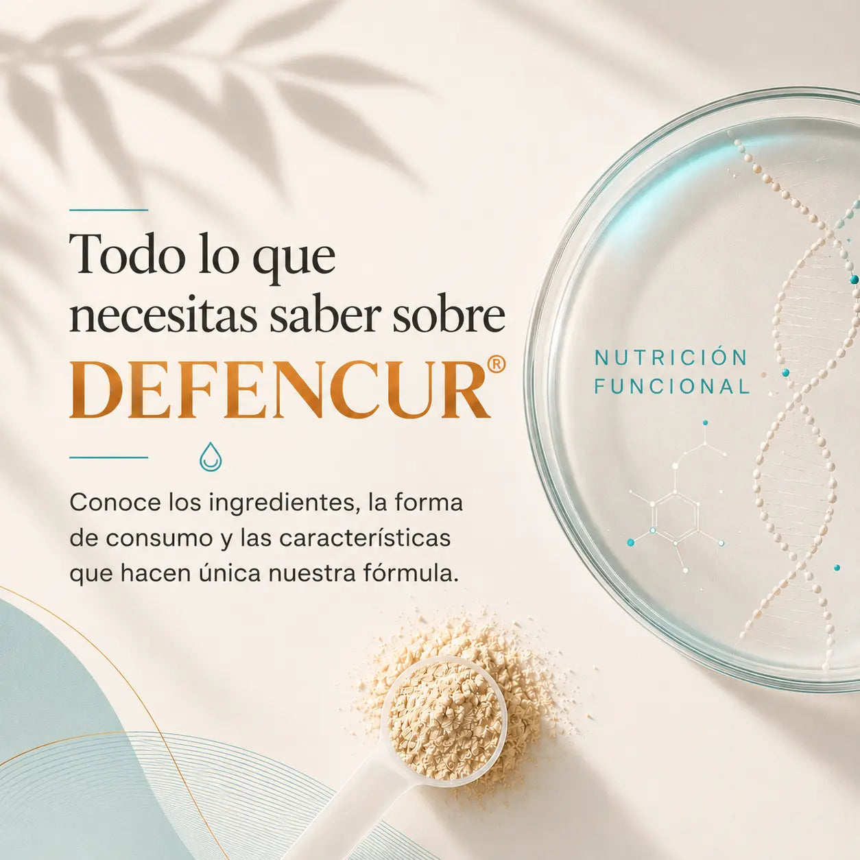 Portada editorial de Defencur® con información sobre la fórmula, la forma de consumo y las características del producto.